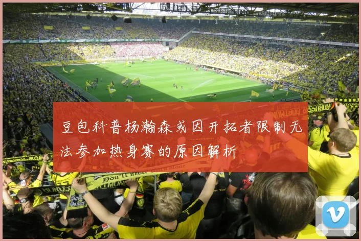 豆包科普杨瀚森或因开拓者限制无法参加热身赛的原因解析